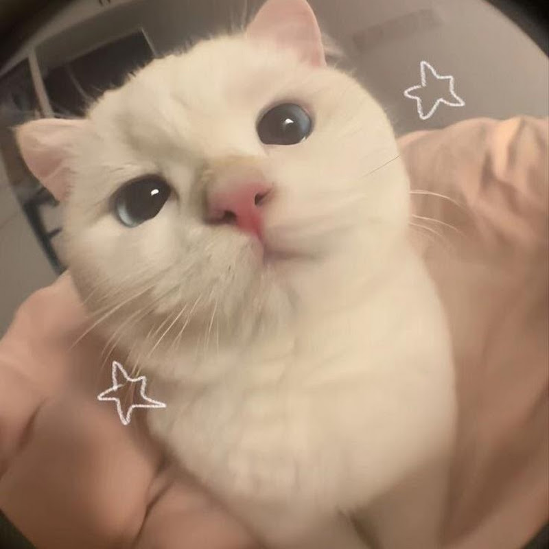 Kuruju