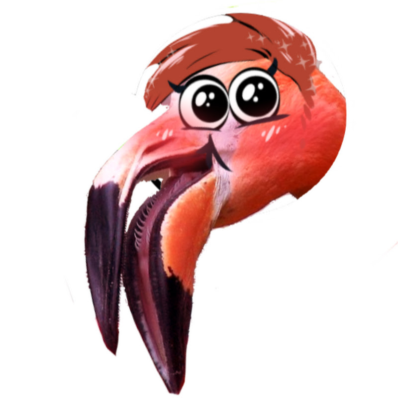 nateybeak