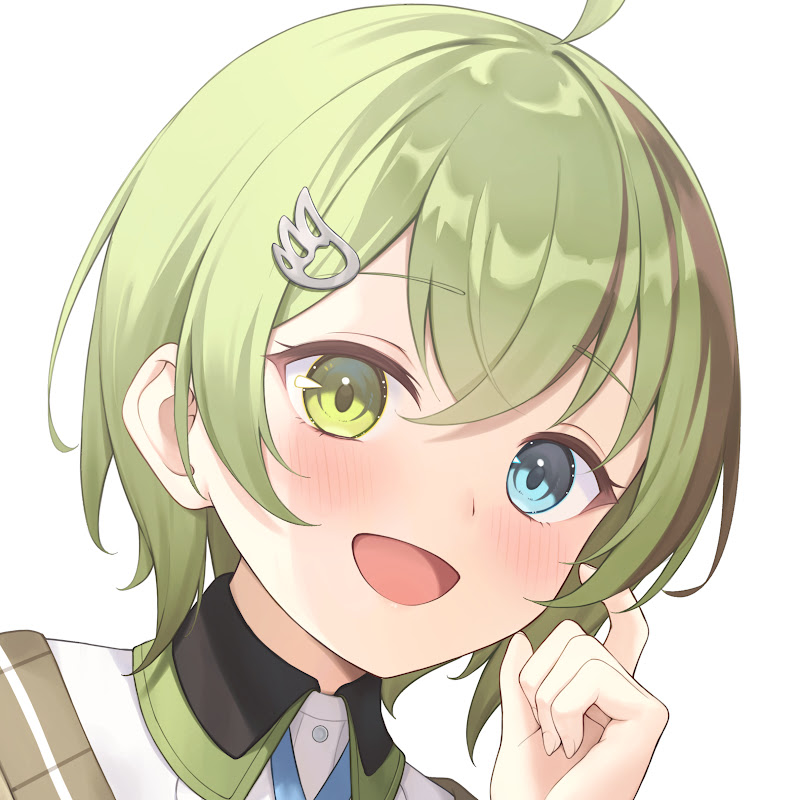 Kitashirakawa Kakapo