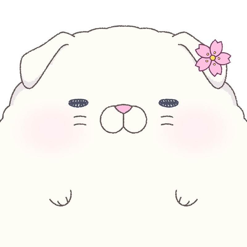 sukotte CH スコッテ