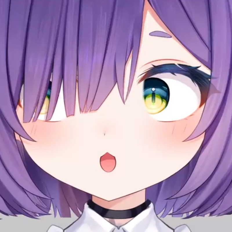 Zumi Dokumi